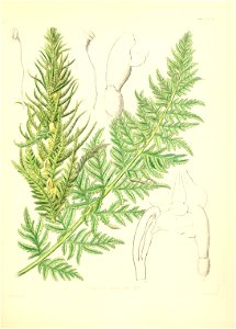 n440_w1150