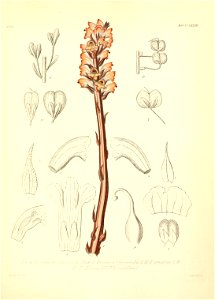 n558_w1150