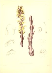n498_w1150