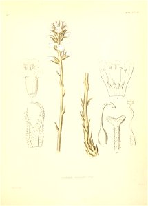 n468_w1150