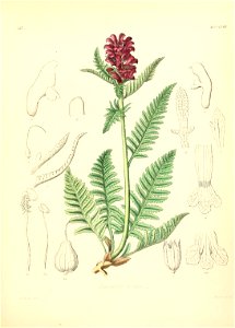 n408_w1150