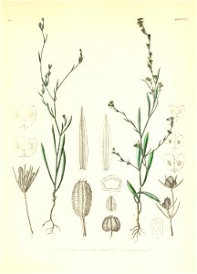 n216_w1150