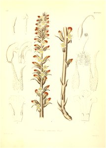 n554_w1150