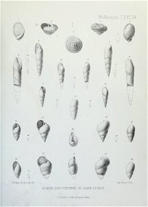 n222_w1150
