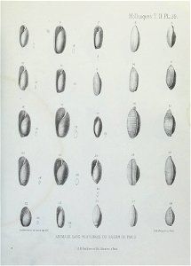 n192_w1150