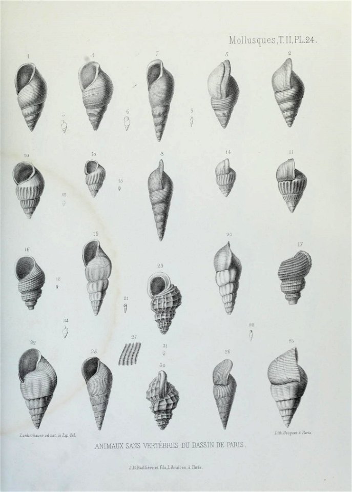 n162_w1150