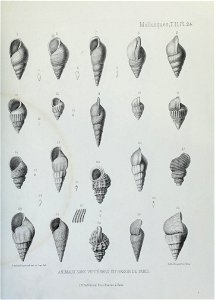 n162_w1150