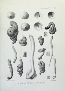 n132_w1150