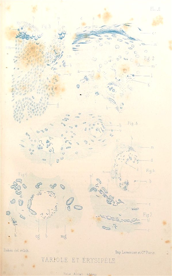 n38_w1150