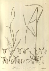 n103_w1150