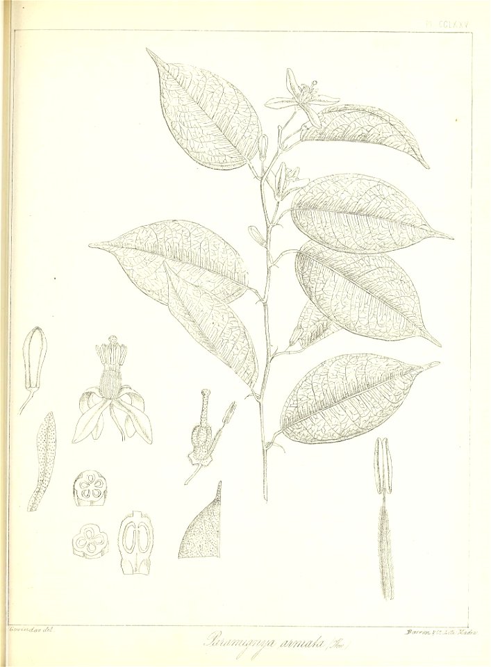 n626_w1150