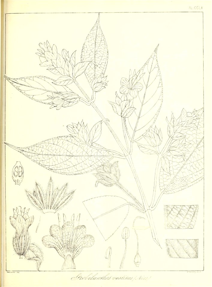 n592_w1150