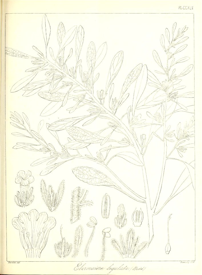 n562_w1150