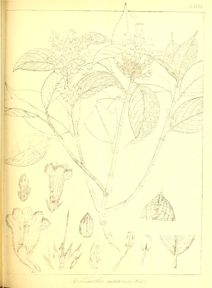 n492_w1150