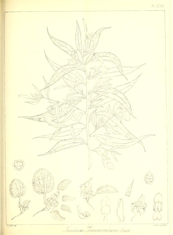 n528_w1150
