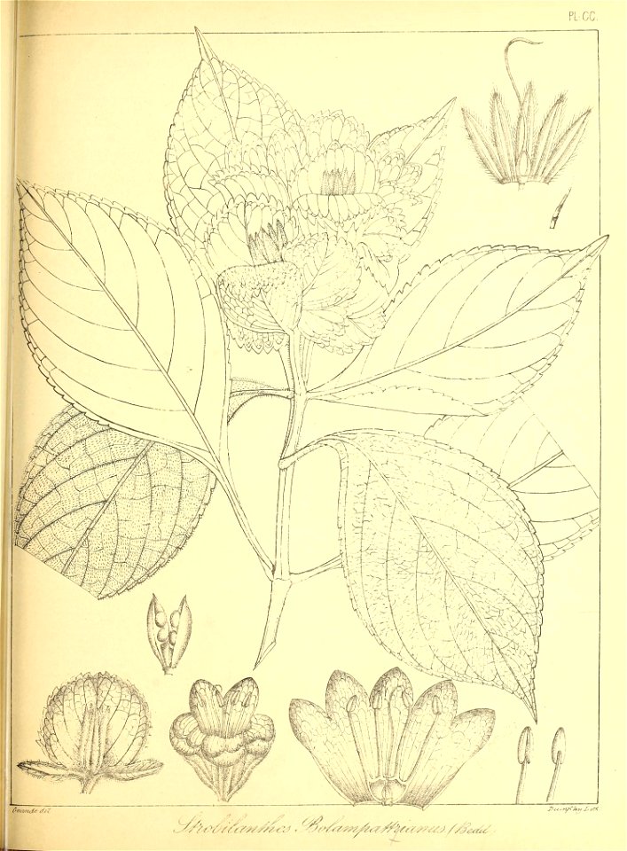 n456_w1150