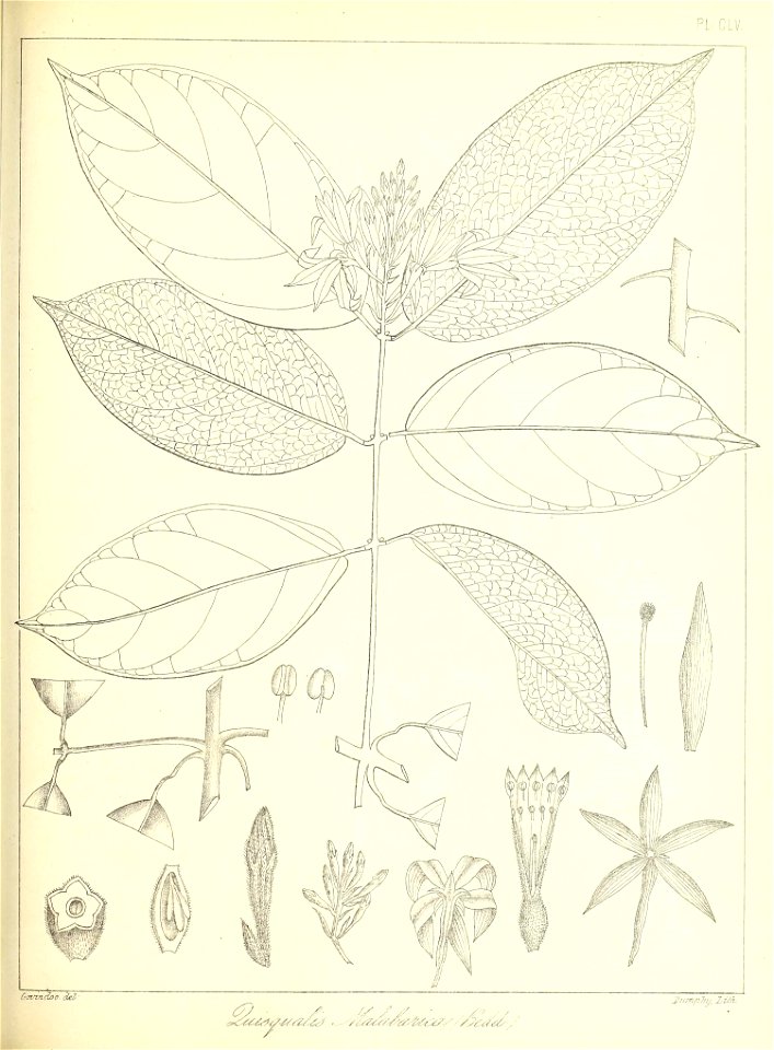 n354_w1150