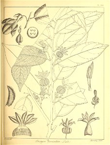 n288_w1150