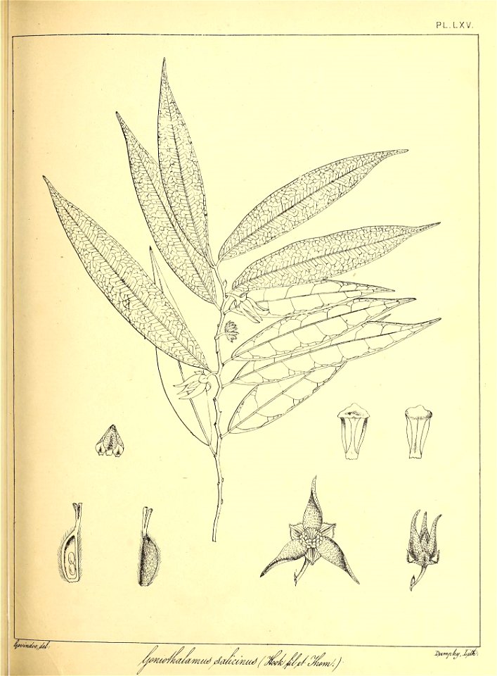 n156_w1150