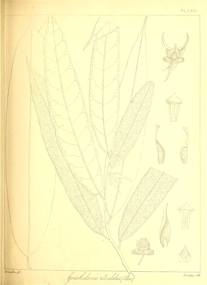 n154_w1150