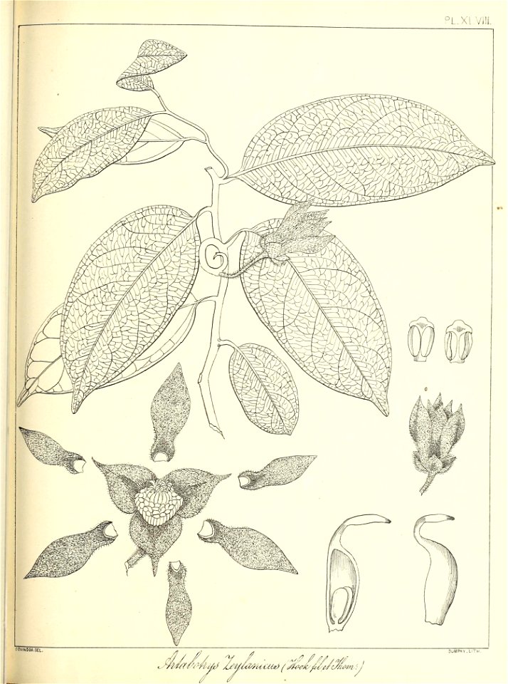 n120_w1150