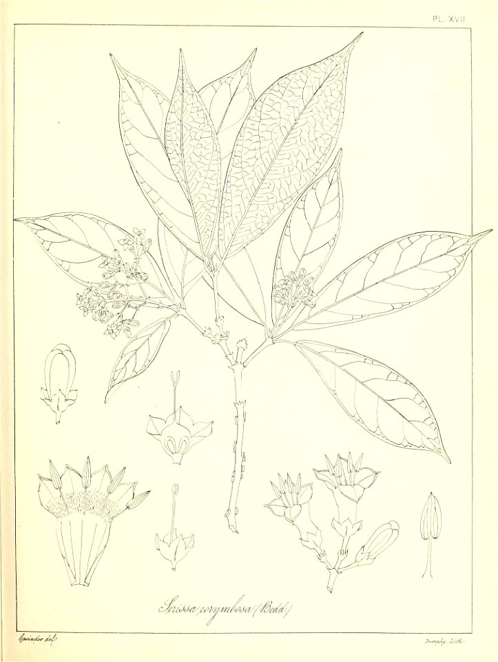 n50_w1150