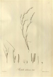 n173_w1150