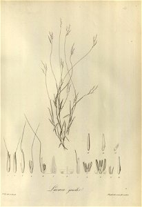n158_w1150