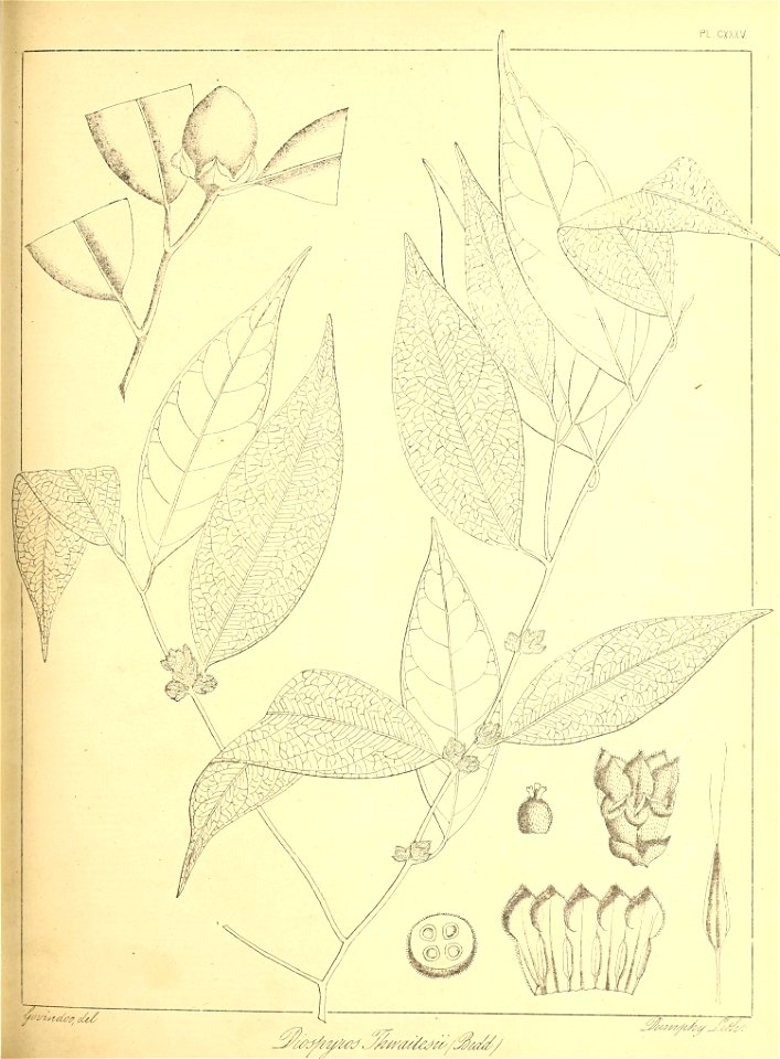 n308_w1150