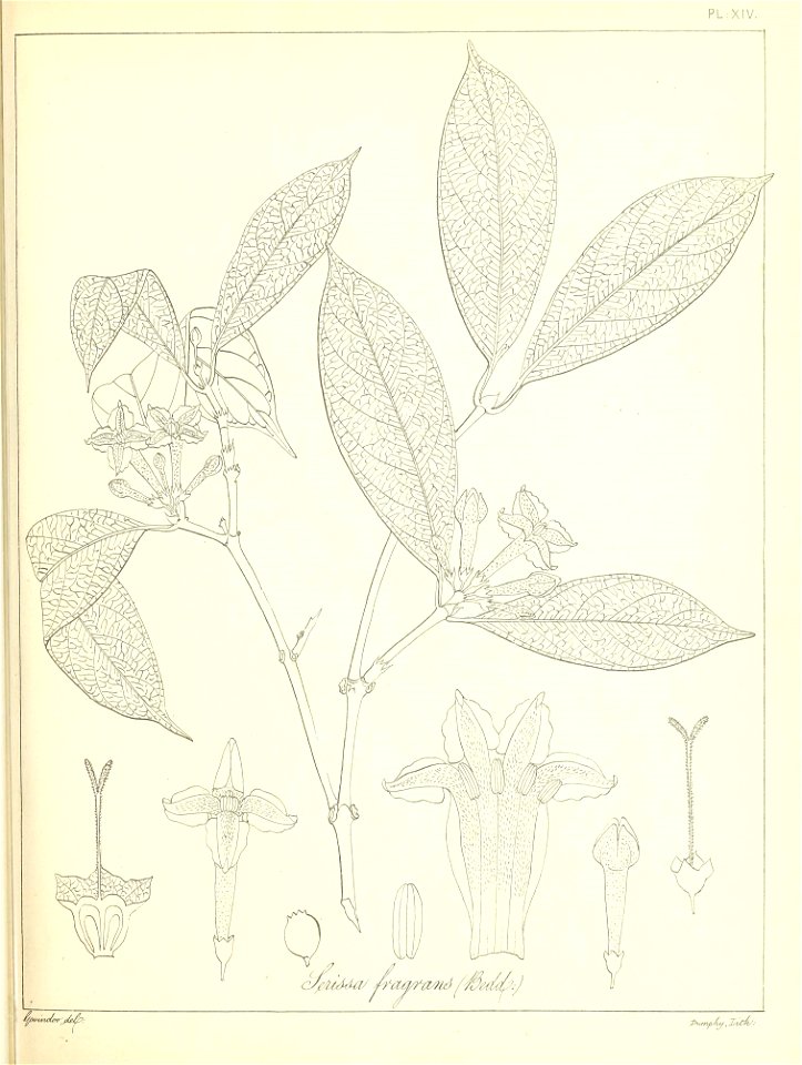 n44_w1150