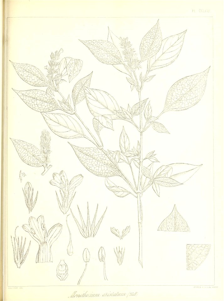 n614_w1150