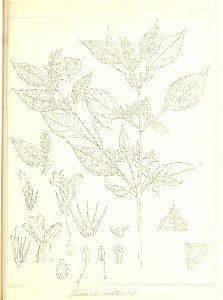n614_w1150