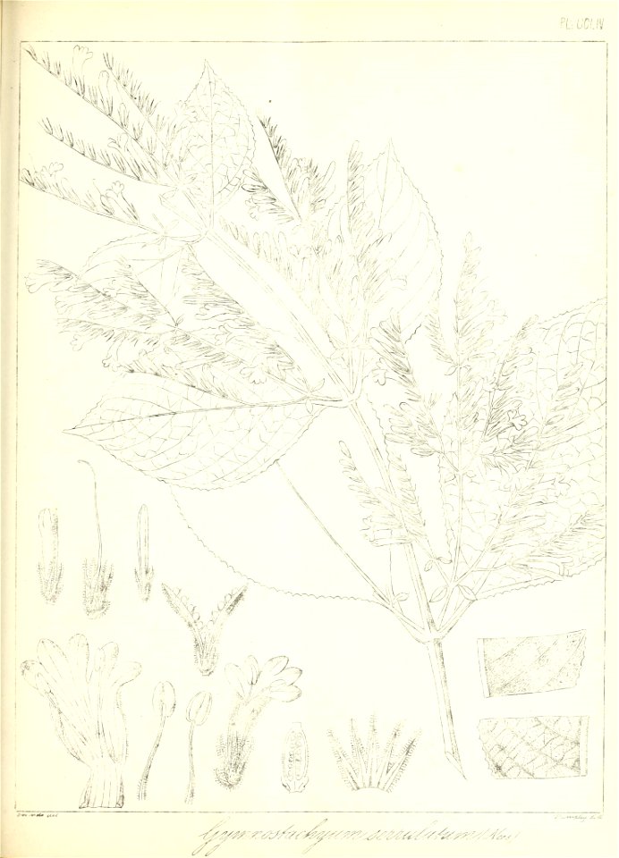 n580_w1150