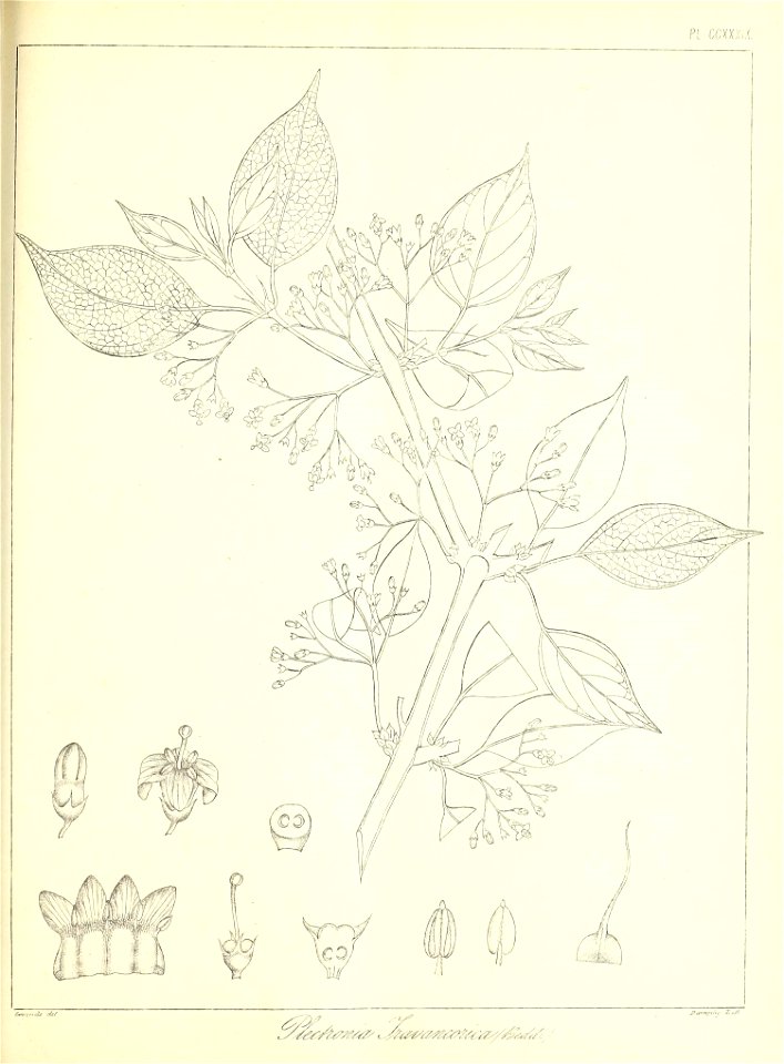 n546_w1150