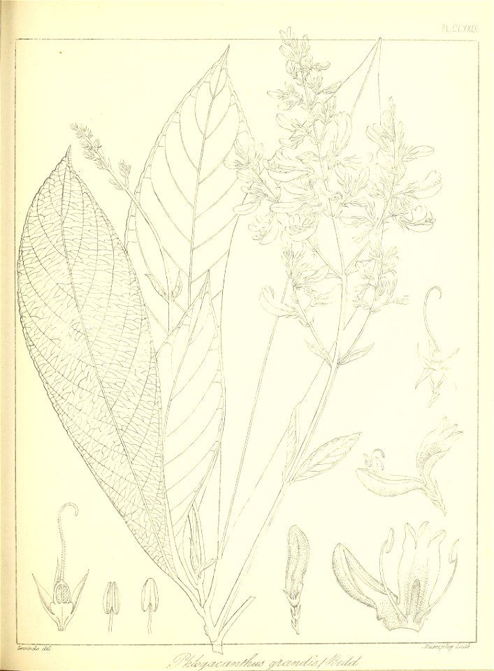 n408_w1150