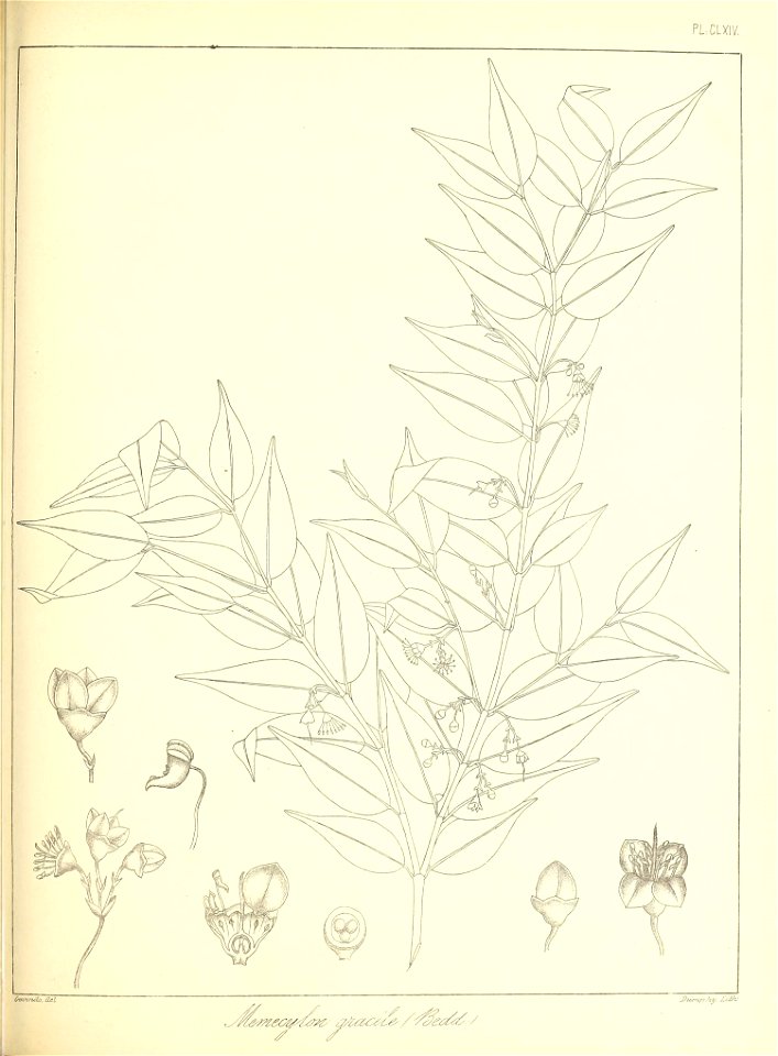 n378_w1150