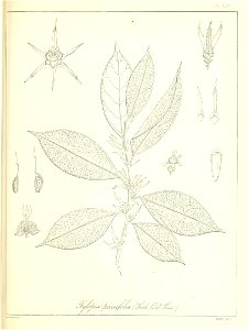 n110_w1150