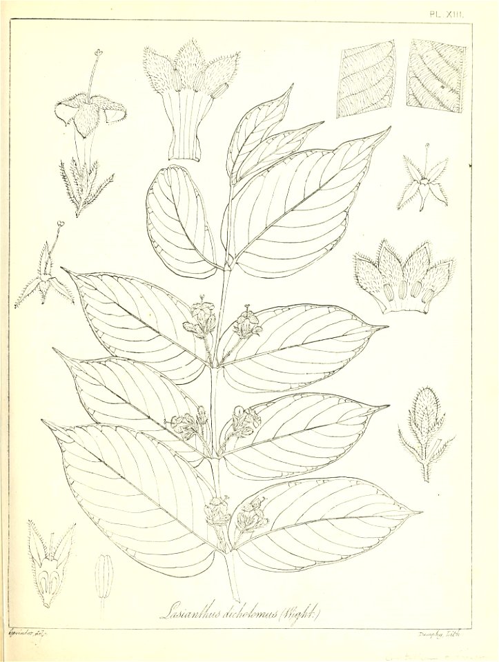 n42_w1150