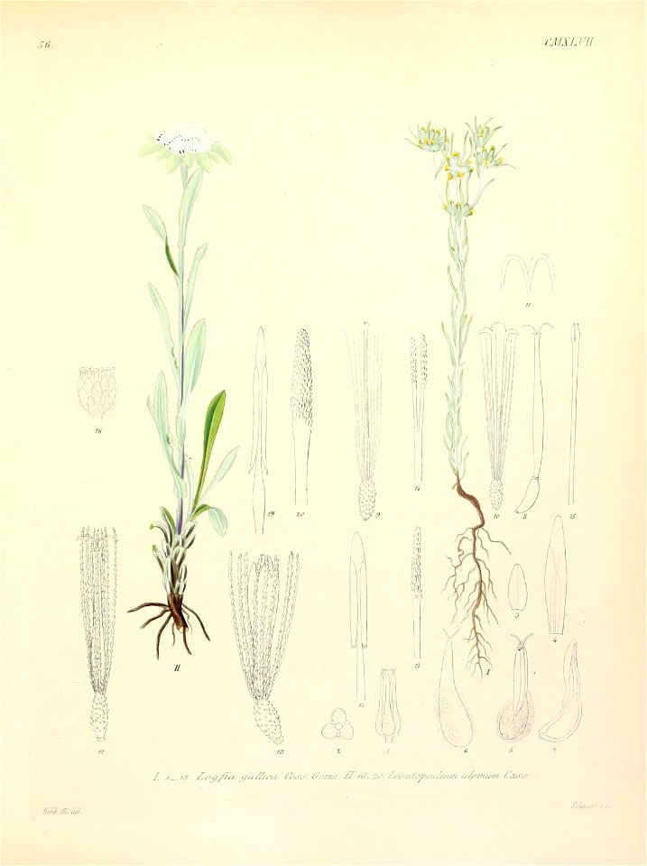 n206_w1150
