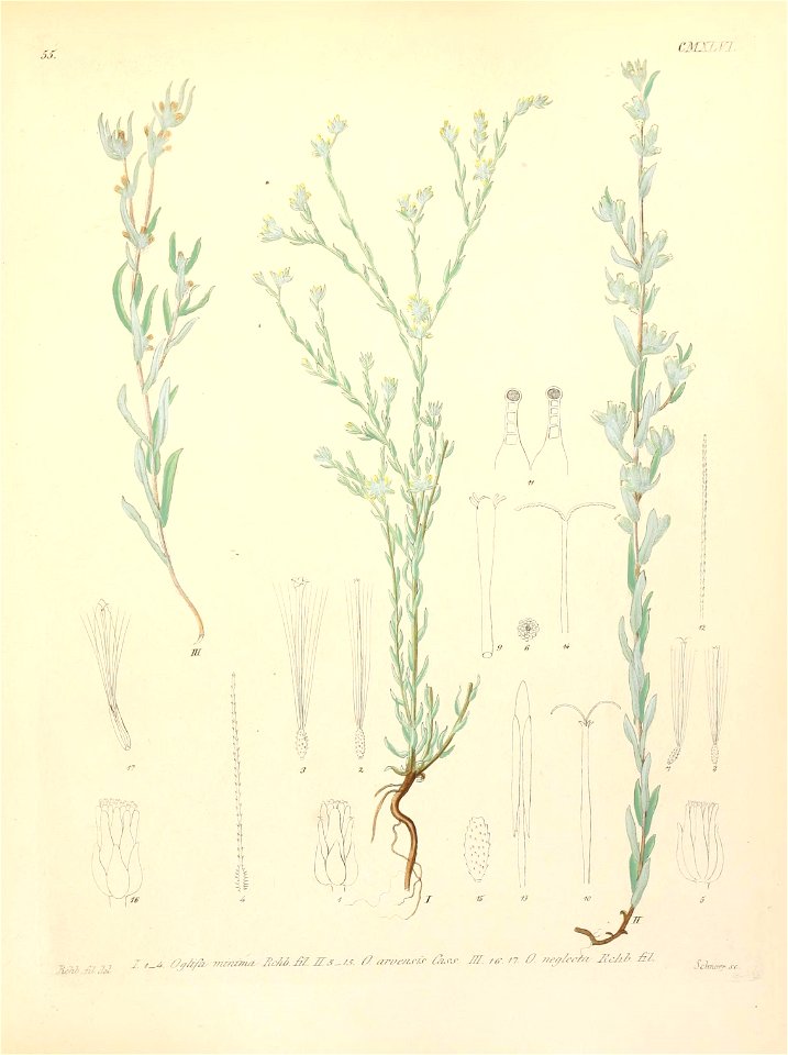 n204_w1150