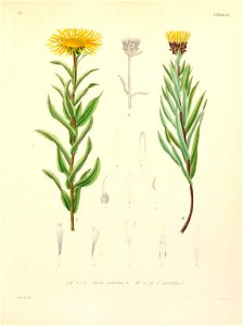 n168_w1150