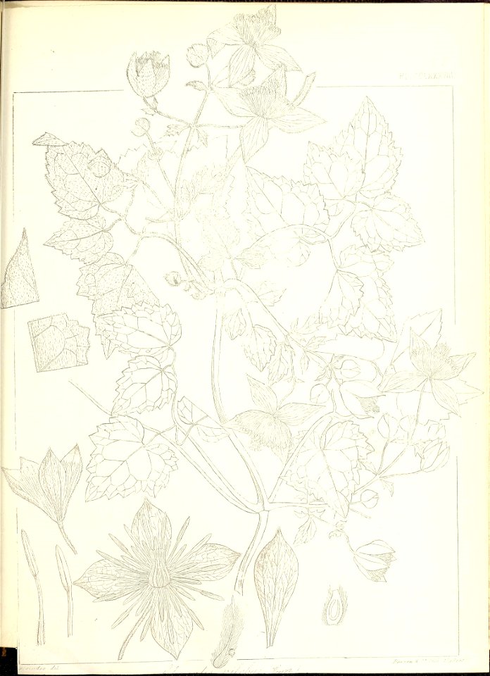 n632_w1150