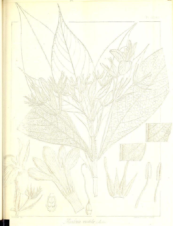 n602_w1150