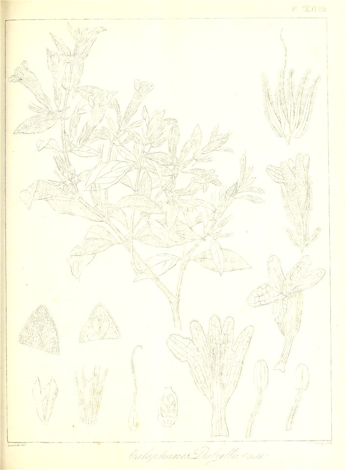 n568_w1150