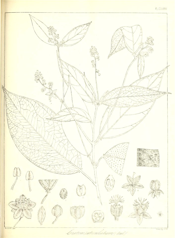 n534_w1150