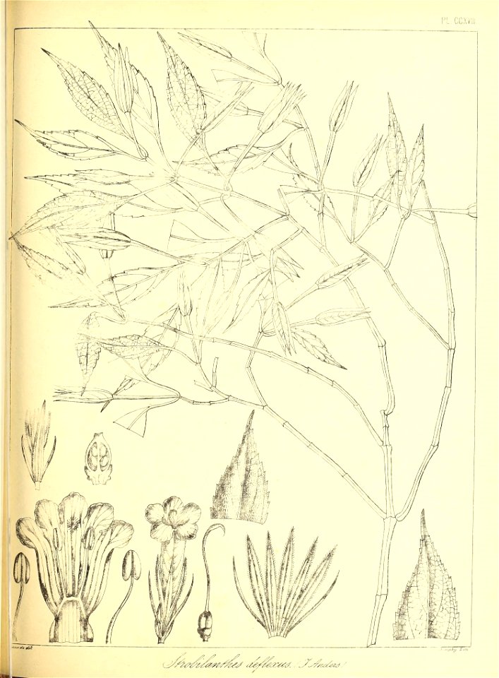n498_w1150