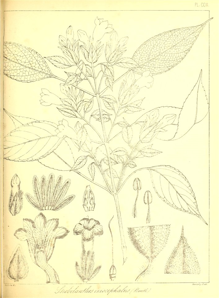 n468_w1150