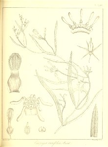 n396_w1150