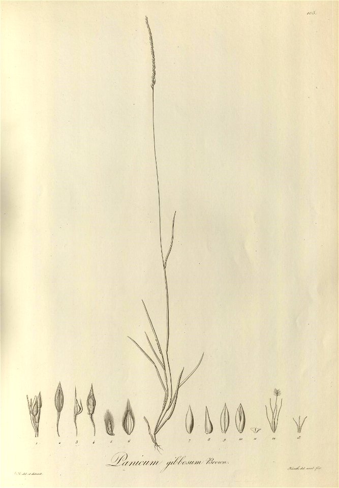 n104_w1150