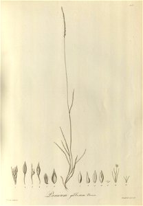 n104_w1150
